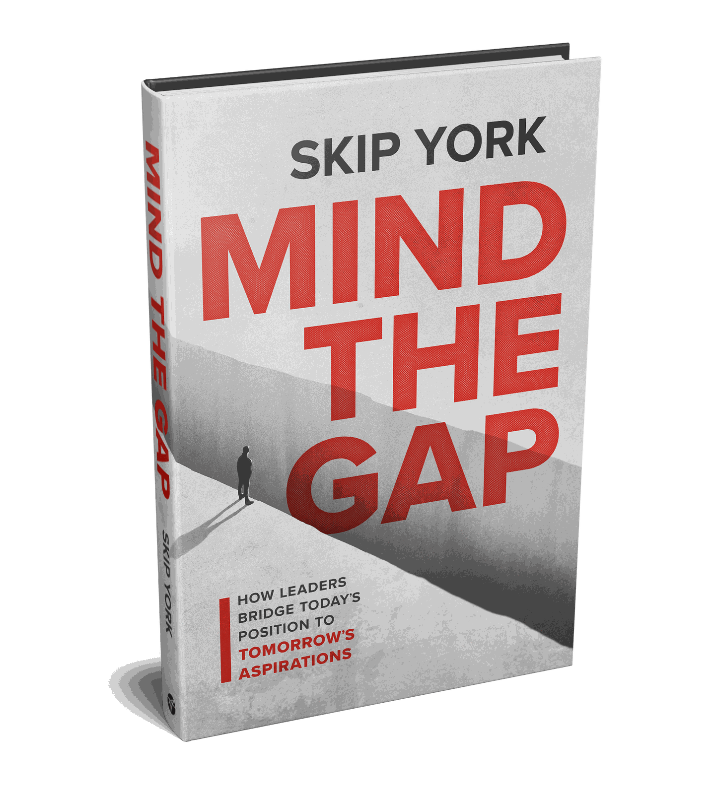 Mind the Gap by Skip York, hardcover edition